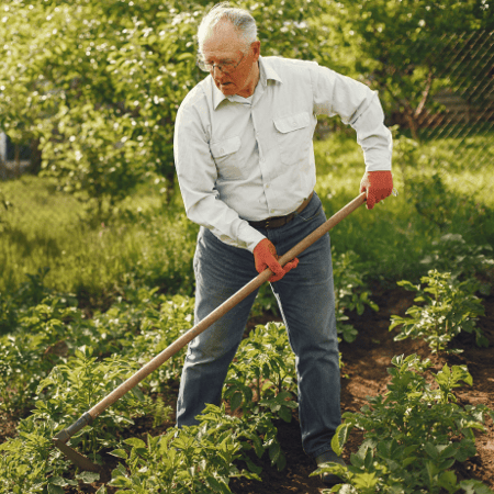 Activité en Ehpad - Jardinage - Famileo Activité en Ehpad - Jardinage - Famileo