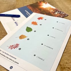 Bulletin de jeux Bulletin de jeux