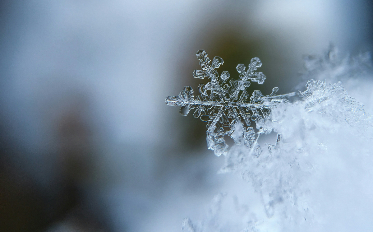 Flocons de neige © Aaron Burden