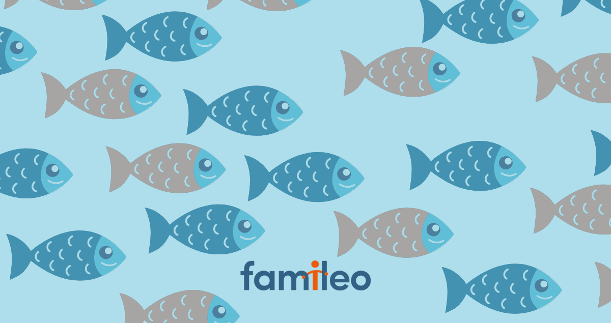 Poissons davril - Famileo Pro