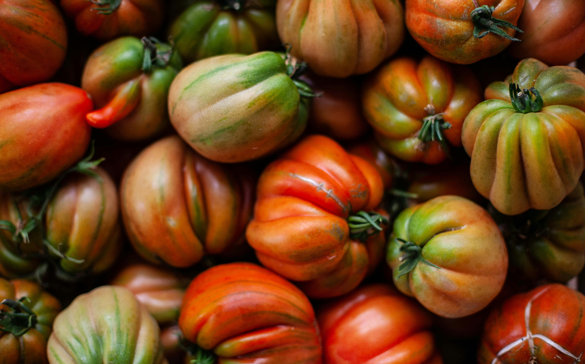 Famileo - Tomates © Empreinte