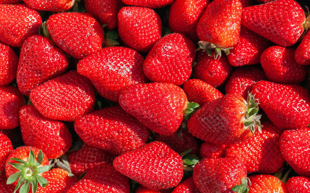 Famileo -Fraises © Natasha Skov